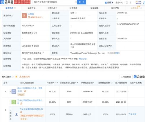數字文化創意內容應用服務 開啟數字時代文化新紀元